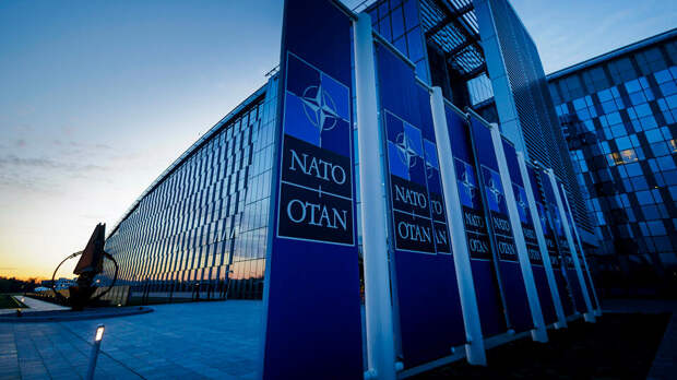 Трамп назвал НАТО "бумажным тигром" из-за отсутствия военной мощи