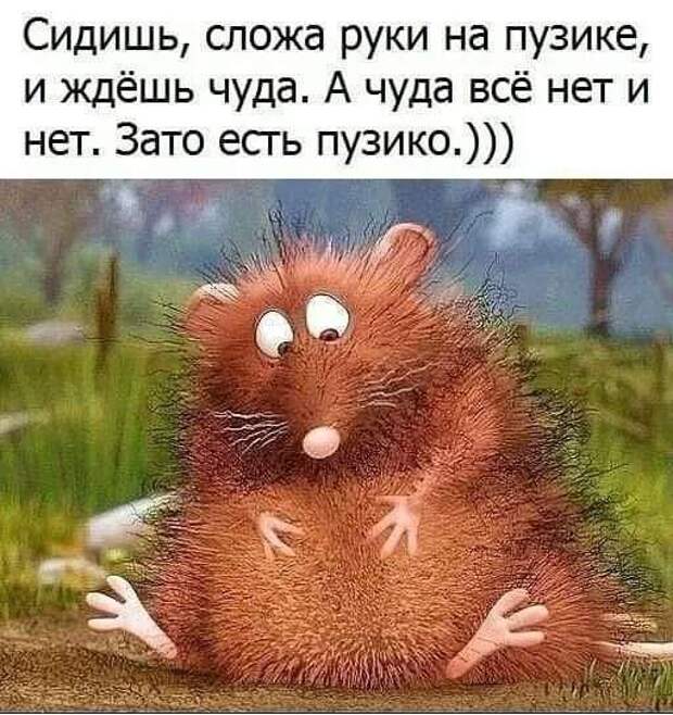 Эта подборка веселых и забавных историй подарит позитивный настрой на весь день!