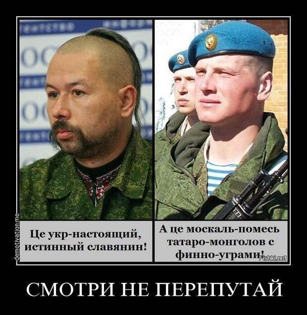 Политические комментарии из инета