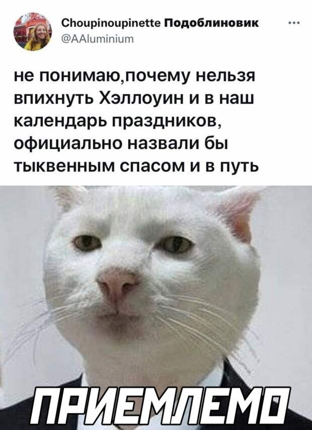 Смешные картинки 1 ноября 2021 года