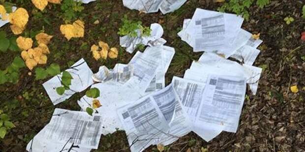 Грибники нашли в Забайкалье гору выброшенных Почтой России писем