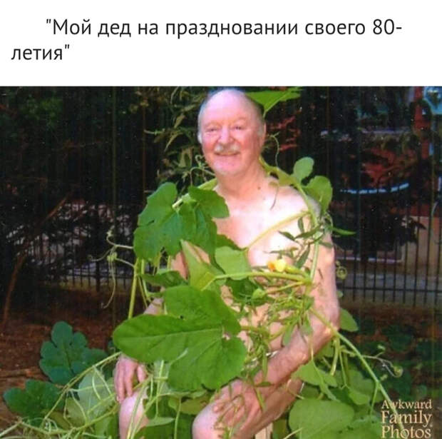 Нелепые семейные фотографии Reddit, Семейное фото, Юмор, Неловкий момент, Архив, Подборка, Фотография, Длиннопост