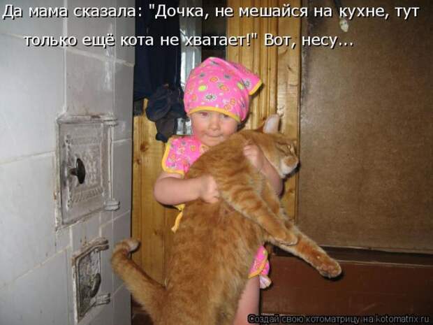 Лучшие котоматрицы недели (50 фото)
