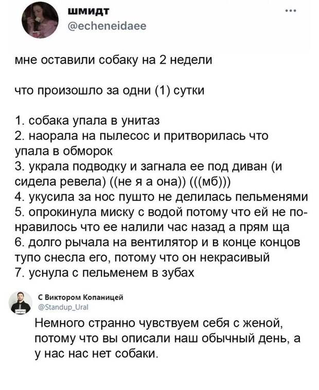 Комментарии и картинки из соцсетей