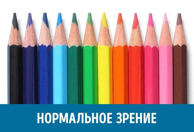 нормальное зрение