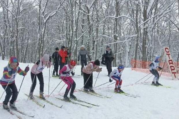 В Тамбовской области подвели промежуточные итоги Декады спорта и здоровья