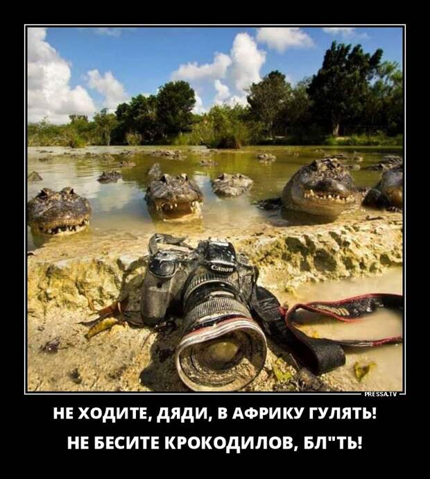 Демотиваторы