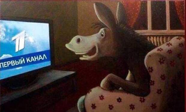 Осел перед телевизором