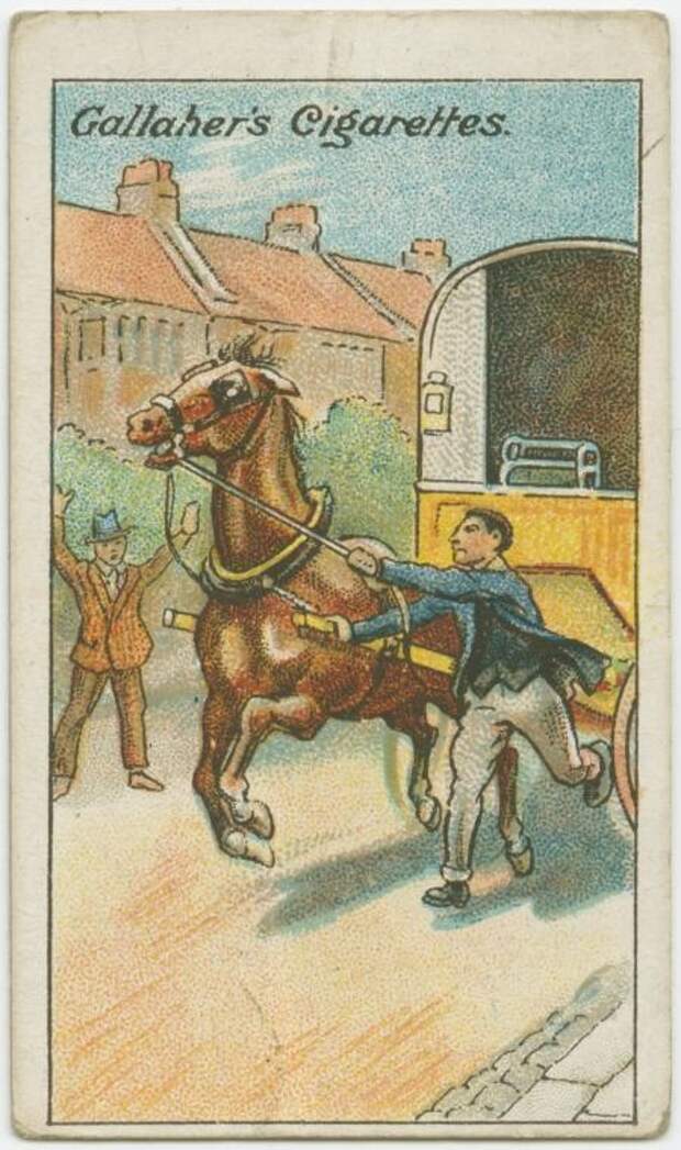 cards_horse_1