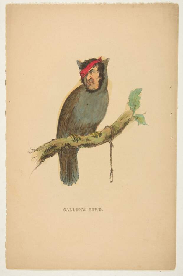natural-history-of-the-human-race-sallow-bird-768x1154.jpg natural-history-of-the-human-race-sallow-bird-768x1154.jpg