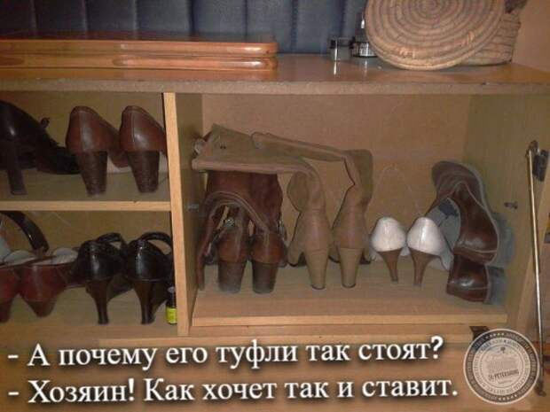 Хозяин в доме