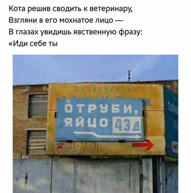 Позитивные картинки в стихах-17 фото- Позитивные картинки в стихах-17 фото-