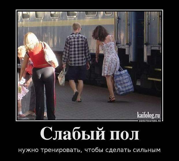 Похожее изображение