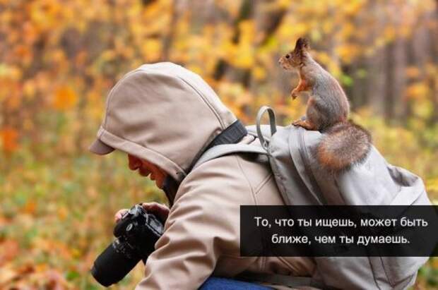 Житейская мудрость в прикольных картинках (23 фото)