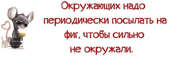 ПРИКОЛЬНЕНЬКО) В КАРТИНКАХ)))