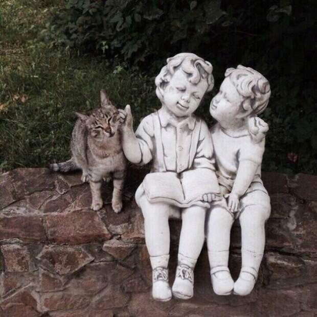 Котики, которые так и притягивают внимание к себе Котики, которые так и притягивают внимание к себе