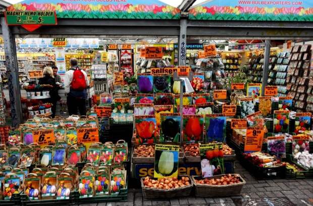 Цветочный рынок Амстердама