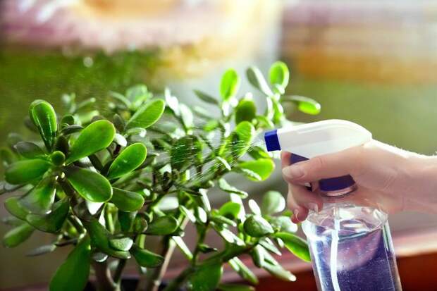 Перекись водорода – незаменимое чистящее средство на кухне и ванной