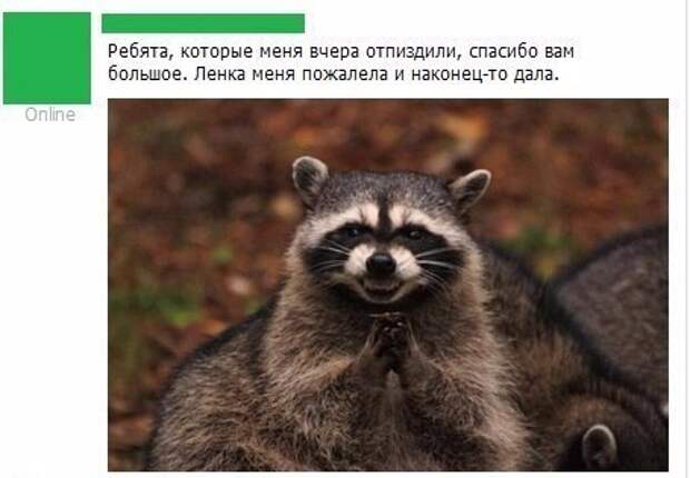 Приколы