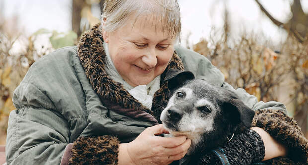 «Вывели Нору, и я поняла: это моя подружка»: почему пожилые люди берут взрослых собак из приюта