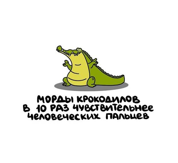Интересные короткие факты на все случаи жизни