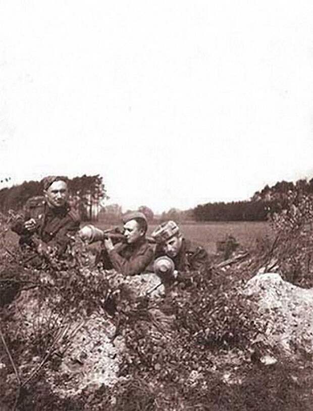 Фронтовые фотографии Алексея Макаровича Смирнова Фронтовые фотографии Алексея Макаровича Смирнова