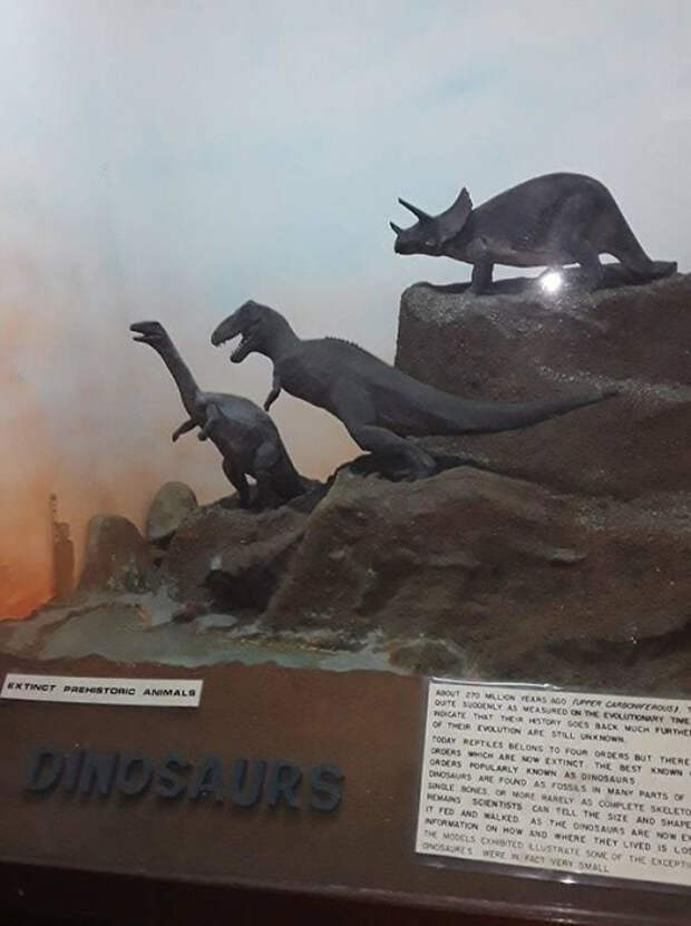 У музея в Кении мало средств, поэтому они симпровизировали и создали своих динозавров из глины.