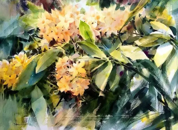 �������� Adisorn Pornsirikarn. ��������� � ��� �������� ����