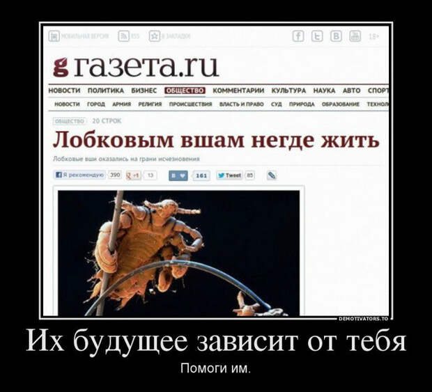 Демотиваторы и мотиваторы. Демотиваторы и веселые картинки_22-01-2013