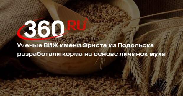 Ученые ВИЖ имени Эрнста из Подольска разработали корма на основе личинок мухи
