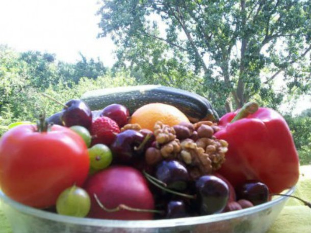 fruit-610x458
