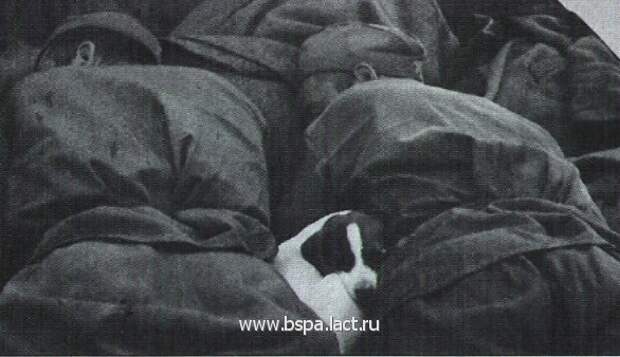 Они тоже служили Они тоже служили