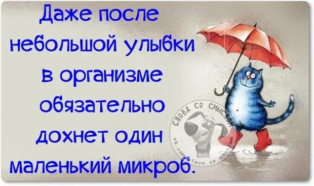 Улыбнись и пусть все ломают голову что у тебя на уме картинки