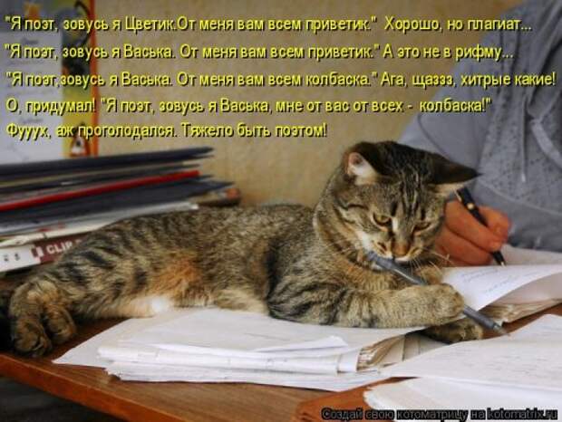 Свежий сборник котоматриц (34 шт)