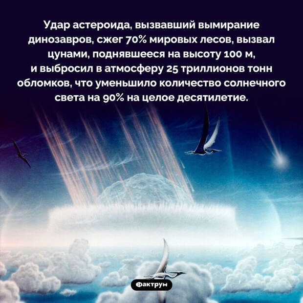 Подборка интересных фактов № 81 Познавательно, Факты, Подборка, Картинка с текстом, Фактрум, Длиннопост