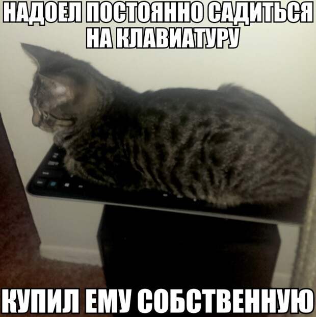 1ййййй
