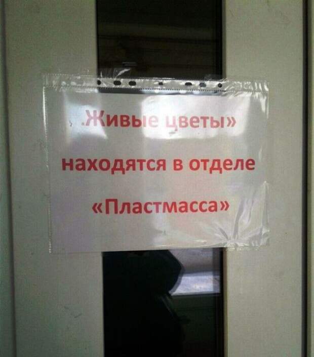 Цветы в пластмассе. Цветы в пластмассе