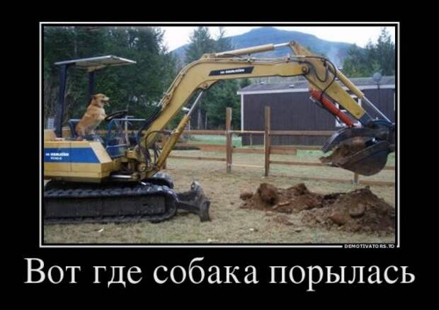 Свежая коллекция демотиваторов (21 шт)