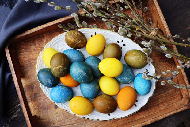 Ветврач Богданова: куличи и крашеные яйца могут стать ядом для питомцев