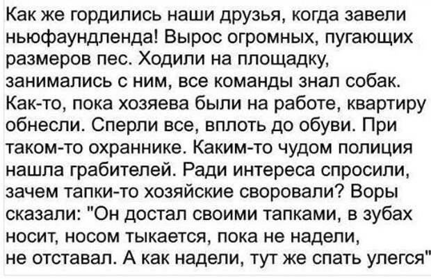 Подборка картинок с подписями картинки, подборка, подписи