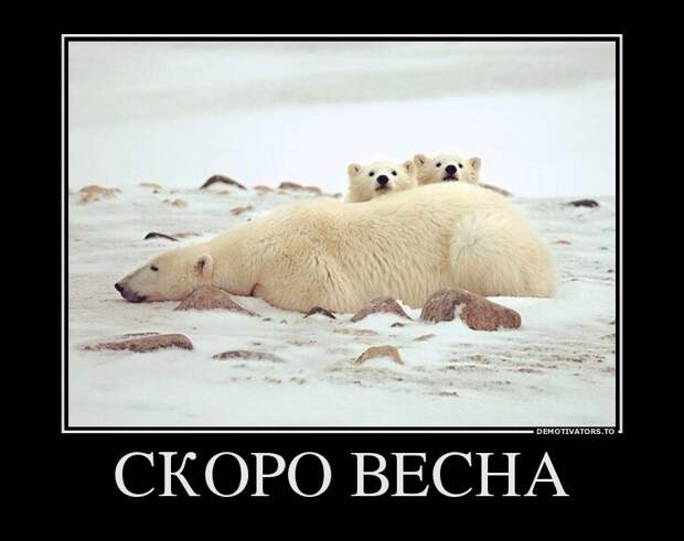 30 демотиваторов дня от 28-02-2014