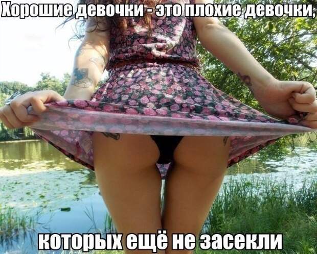 Смешные картинки с надписями прикол, юмор