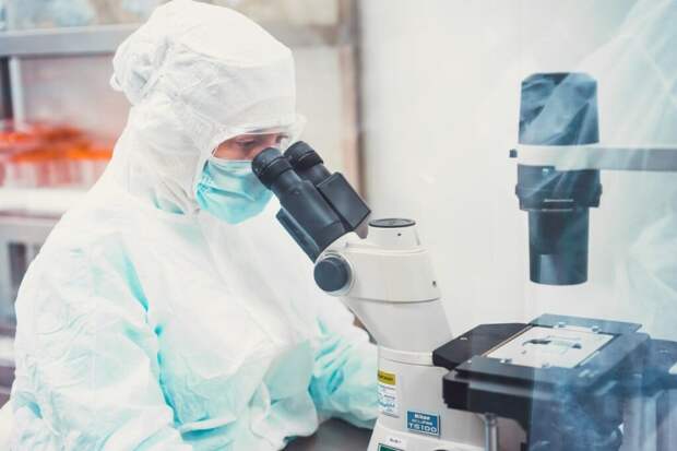 Подтвердился второй завозной случай лихорадки чикунгунья в РФ