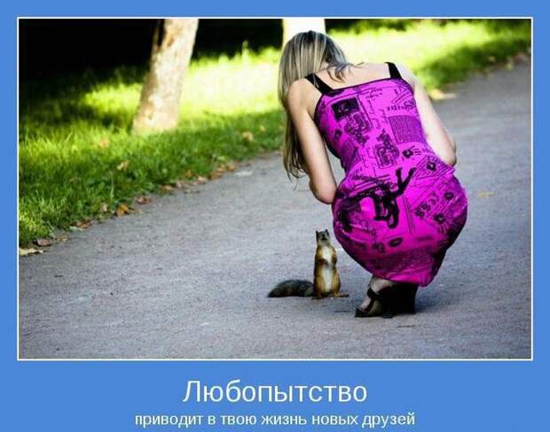 Прикольные и зачетные демотиваторы со смыслом (10 фото) Прикольные и зачетные демотиваторы со смыслом (10 фото)