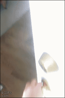 248x373 px 248x373 px