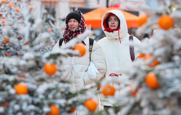 Вильфанд: снежный покров в Москве вырастет до 6 см