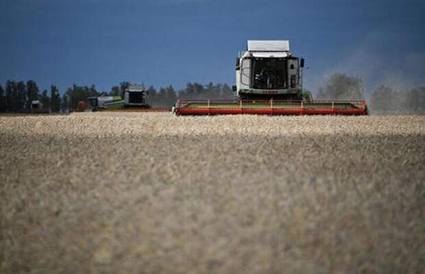 Combines harvest wheat in a field of Triticum farm in Omsk region, Russia September 16, 2020. Picture taken September 16, 2020. REUTERS/Alexey Malgavko