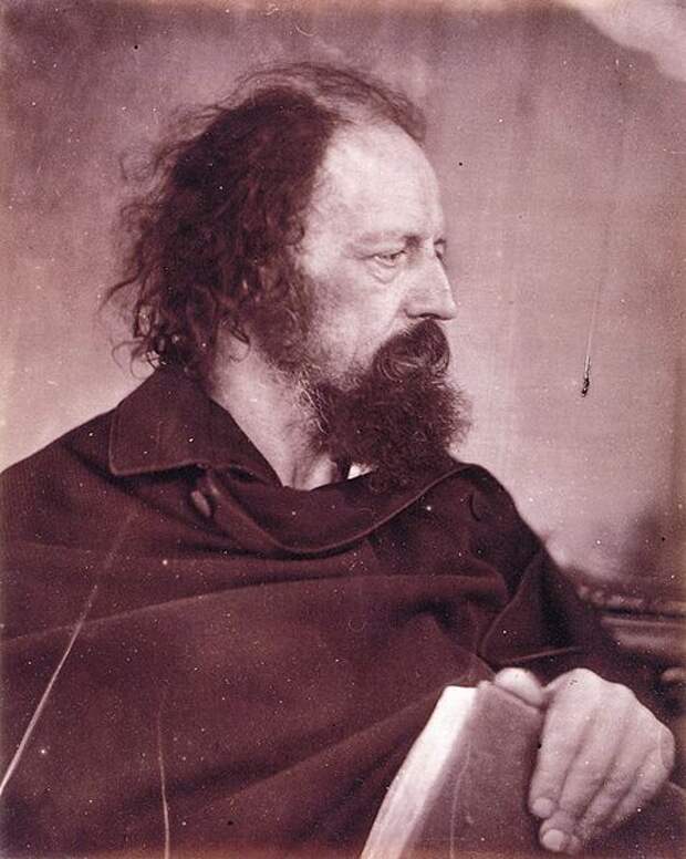 File:Alfred Tennyson with book, by Julia Margaret Cameron.jpg