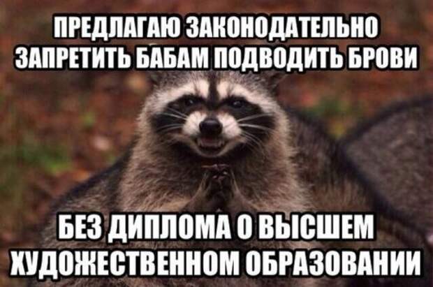 Смешные фотомемы (20 шт)