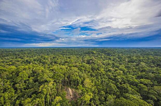 Нетронутые цивилизацией: Редкие снимки неконтактировавшего племени в лесах Амазонки